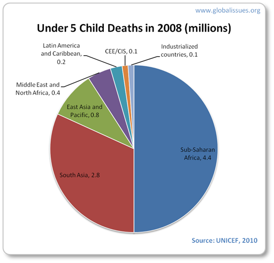 Africa and South Asia accounted for 7.3 million child deaths in 2008.