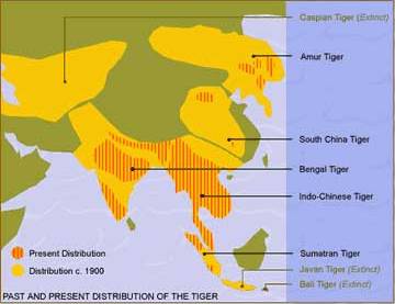 Tiger territory map from TigerHomes.org also shows dwindling distribution