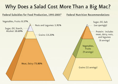 Meat and dairy formed over 73% of US food/farm subsidies from 1995-2005 even though it should only around 20% of a persona’s diet