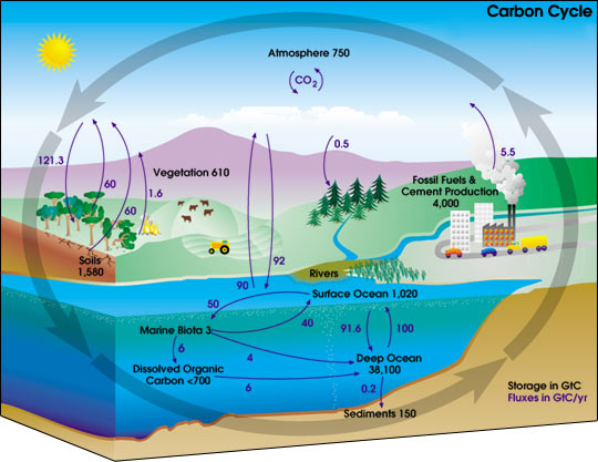 global climate change assignment