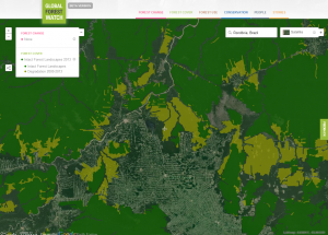 Brazil's Amazon forest - 2013. Credit_Courtesy of Global Forest Watch