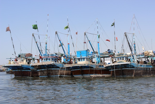 The WWF-Pakistan is worried about the extinction of several marine species. Experts are particularly concerned about the depletion of shrimp, lobster, croaker, shark and stingrays due to over-exploitation. Credit: Zofeen Ebrahim/IPS