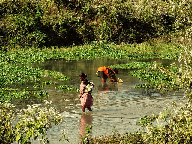 With food in limited supply and fish being a staple part of the Assamese diet, it is common to see women and even children fishing in the marshy swamps that line the edge of the refugee camps, no matter how muddy or dirty the water might be. Credit: Priyanka Borpujari/IPS