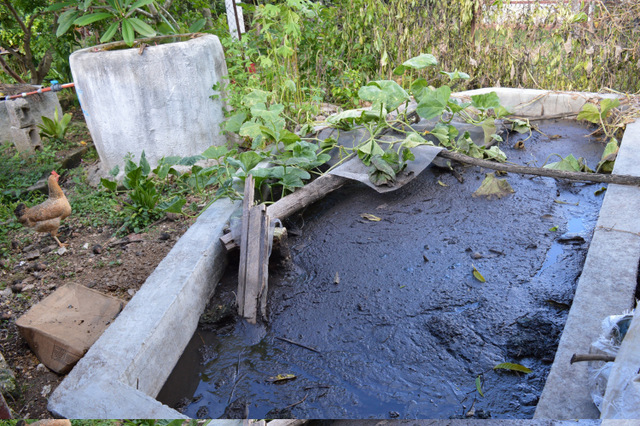 The organic fertiliser produced by this biodigester effluent tank is used on a family garden in Los Arabos in the Cuban province of Matanzas. Credit: Courtesy of Randy Rodríguez Pagés/Diakonia-Swedish Ecumenical Action