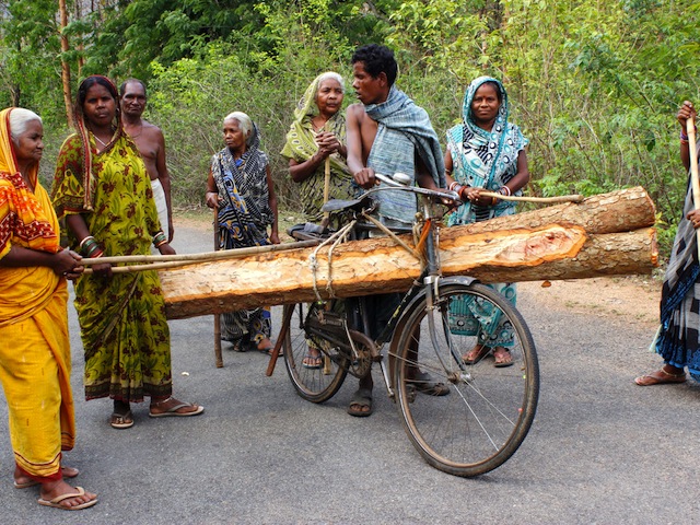 Women vigilantes apprehend a timber thief. Village councils strictly monitor the felling of trees in Odisha's forests, and permission to remove timber is only granted to families with urgent needs for housing material or funeral pyres. Credit: Manipadma Jena/IPS