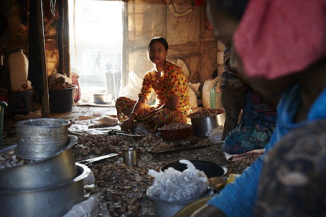 Farida, aged 18, works in her family's betel nut processing business. The nuts belong to Rakhine business owners, who pay the family less than 0.09 dollars per nut. Credit: Courtesy Rob Jarvis
