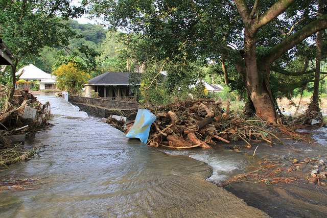 During the Christmas 2013 disaster, flood waters deposited large volumes of neatly cut logs into residential and commercial areas in St. Vincent. Credit: Kenton X. Chance/IPS