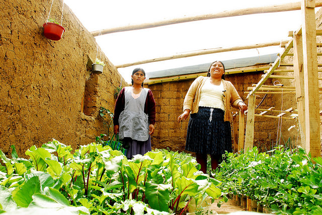 Two of the peri-urban agricultural producers of Sucre proudly show one of their greenhouses, which families from 83 poor suburban neighbourhoods have set up in their yards as part of the National Urban and Peri-urban Agriculture Programme. Credit: Franz Chávez/IPS
