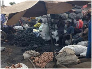 Figure 3: Traders sell charcoal in Kasubi market, in Kampala Capital. /Christina Okello