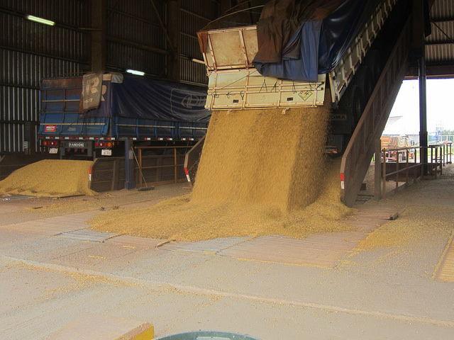 Trucks unload soybeans in the Angostura Agroindustrial Complex SA (CAIASA). This is the start of the soybeans' journey through the plant, where they are turned into soymeal or soybean oil, which are exported on barges along the Paraguay river, from the industrial park in Villeta, Paraguay. Credit: Mario Osava/IPS
