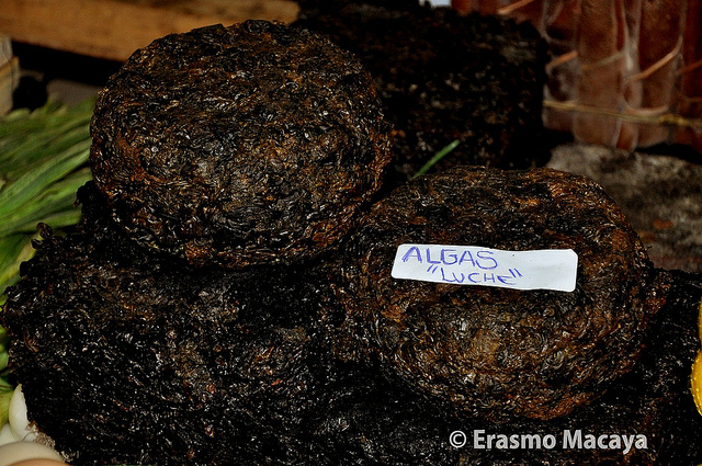 "Luche" (Pyropia and Porphyra species of algae) on sale in a market in Chile, where it is finding a niche among traditional produce. Seaweed was part of the diet of several indigenous peoples in the country and its consumption is beginning to take off due to its high nutritive value. Credit: Courtesy of  Erasmo Macaya