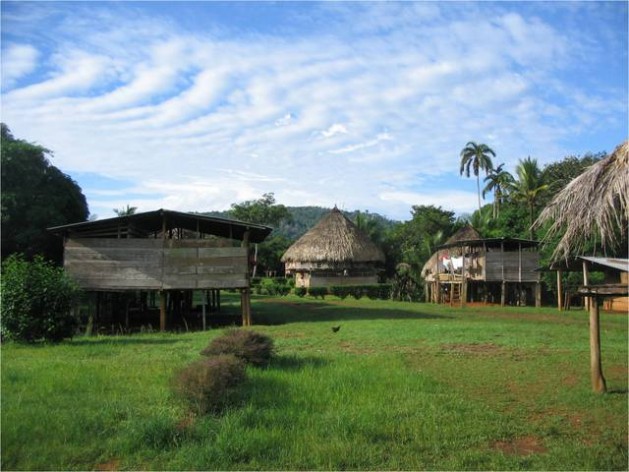 Emberá huts in a clearing in a forest protected by this indigenous people in Panama, in their 4,400-sq-km territory. Native peoples want global climate change accords to recognise the key role they play in protecting forests, and demand to be included in benefits arising from their conservation efforts. Credit: Government of Panama
