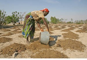 Race against time in drought-ravaged Southern Africa to ensure 23 million people receive farming support | Photo: FAO