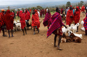 Maasai pastoralists, who participate in a farmer field school, are selling animals at a local market in Narok, Kenya. Indigenous peoples have a key role to play in addressing climate change. Credit: FAO