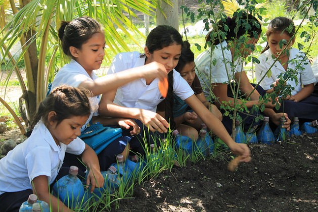 Students at a school in an indigenous village in western Honduras work in the school garden, where they learn about nutrition and healthy eating. Since 2016 Honduras has a law regulating a new generation oschool meals programme, which focuses on a healthy diet and serves fresh food from local family farmers and school gardens. Credit: Thelma Mejía/IPS