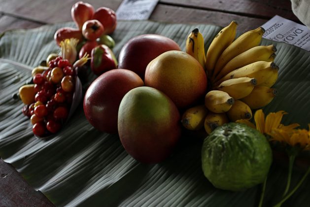 An assortment of fruit grown on the Tierra Brava farm in Los Palacios, in the western Cuban province of Pinar del Río. In the cooperative of which it forms part, farmers aspire to build a processing plant to sell "healthy fruit" to tourists. Credit: Jorge Luis Baños/IPS