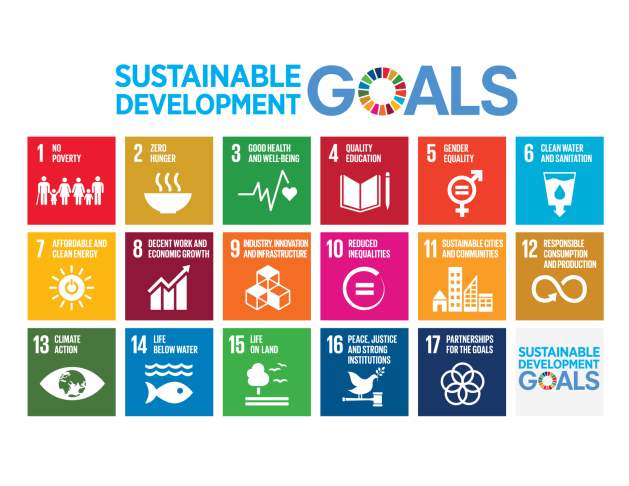Partnerships Key to Implementing 2030 Agenda