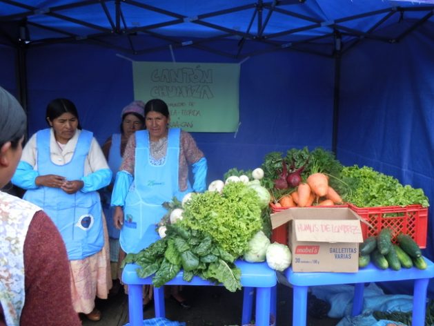 Women farmers in the rural town of Tapila Florida, in the Bolivian department of La Paz, sell their freshly harvested produce at a collective storage and trading centre, thanks to support from the Centre for Training and Service for Women's Integration to develop agroecology. Credit: Courtesy of Cecasem