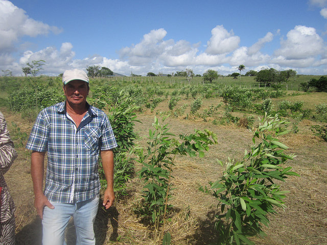 Parched, hard-packed land without vegetation is now green and fertile thanks to farmer and livestock breeder José Antonio Borges, who regenerated the land, supported by technicians from Adapta Sertão. It is now what he refers to as &amp;quot;the forest&amp;quot; where he grows watermelons and fruit trees, in Brazil's semi-arid Northeast. Credit: Mario Osava / IPS