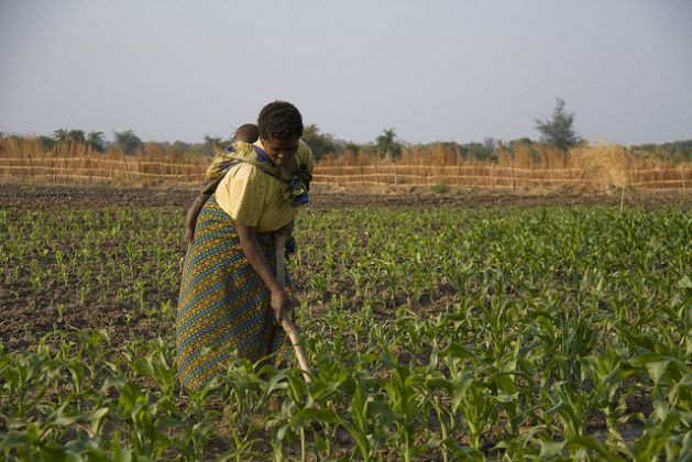 Women Are Key to Fixing the Global Food System