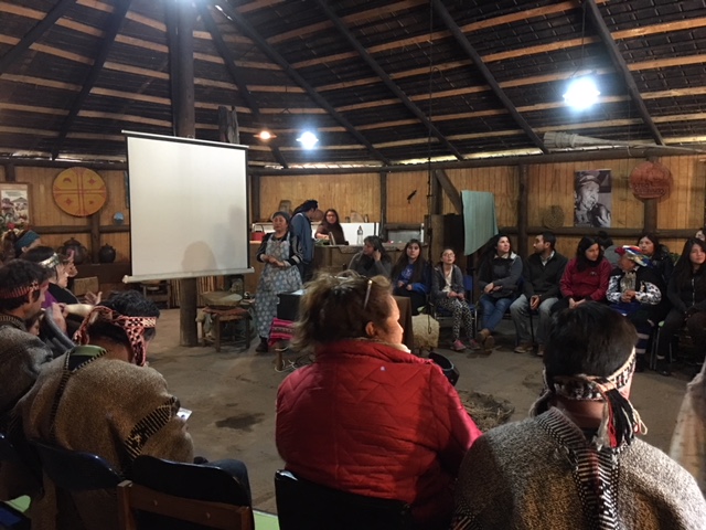 Mapuche leaders from different municipalities of the Metropolitan Region of Santiago during the debate on how their language, knowledge and traditions should be incorporated into a new subject in Chile's primary schools. Credit: Orlando Milesi/IPS