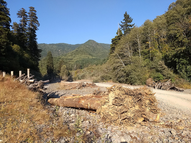 The Yurok are working to conserve and restore the Klamath River basin, to which they are spiritually and economically linked. Part of the restoration involves placing logs in the river, such as these ones that have been prepared on its banks, to channel the water and retain sediment and thus recreate the habitat needed by salmon, the species that is key to the Yurok culture. Credit: Emilio Godoy/IPS