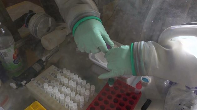 Lassa fever is a viral disease of inequity and disproportionately affects poor people. There are an estimated 100,000 - 300,000 annual cases of Lassa fever across West Africa, according to the U.S. Centres for Disease Control. Countries endemic for Lassa fever include Guinea, Liberia, Sierra Leone and Nigeria