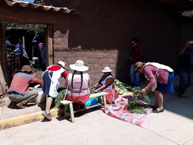 700,000 women are engaged in agricultural activities in Peru, playing a key role in the food security and sovereignty of their communities, despite the fact that women farmers have less access to land, water management and credit than men