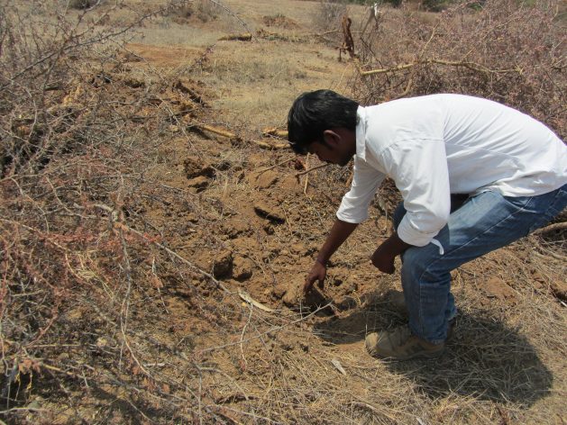 Degraded farmland is being restored in Mahbubnagar district of Telangana state in India. Investing in sustainable land management and reversing land degradation will help build economies post-COVID-19 and help poor people increase their incomes. Credit: Stella Paul/IPS
