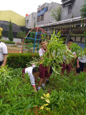 Students at the Santo Markus I Elementary School in East Jakarta, Indonesia, learn how to plant medicinal herbs as part of their green programme. Courtesy Ruben Kharisma