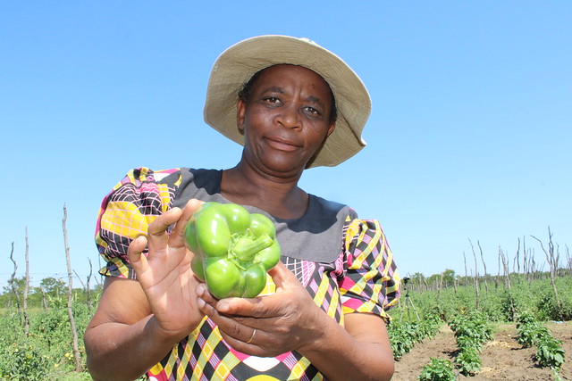 Zimbabwean smallholder farmer, Kwanele Ndlovu, shows part of her produce at her farm in Nyamandlovu district, Zimbabwe. Danielle Nierenberg, a world-renowned researcher, activist, food system expert and co-founder of the United States think tank, Food Tank, says that because of COVID-19 people are now concerned about their health and are looking for nutritious foods, instead of processed foods. Credit: Busani Bafana/IPS