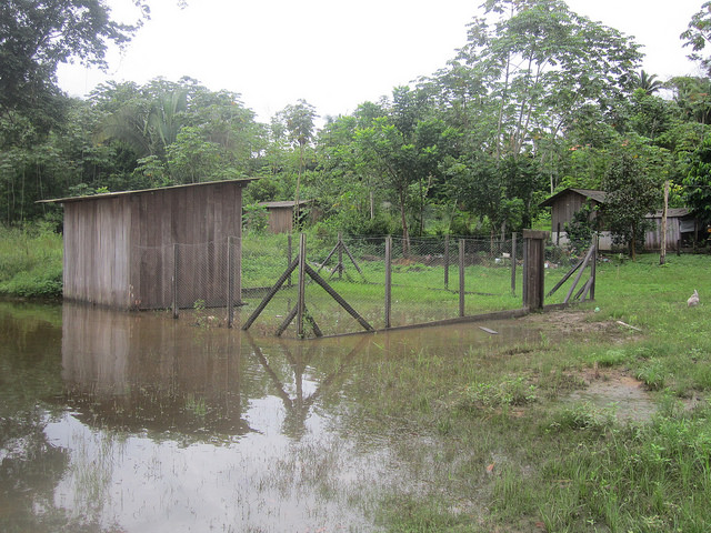 A chicken coop in the Miratu village, inhabited by Juruna indigenous people, was flooded along with other buildings when the Norte Energia company, owner of the Belo Monte hydroelectric plant, released excess water into the Volta Grande section of the Xingú River. &amp;quot;Today the floodgates control the flow,&amp;quot; rather than the natural cycles of the river, explains indigenous leader Bel Juruna. CREDIT: Mario Osava/IPS