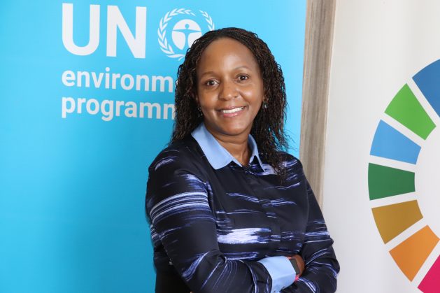Joyce Msuya, the Deputy Executive Director for the UN Environment Programme (UNEP), says environmental issues are development issues and therefore are everybody’s issues. Credit: Isaiah Esipisu/IPS