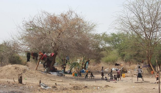 A new report categorized people in Burkina Faso, South Sudan and Yemen as being in ‘Catastrophe,’ meaning that they need immediate action to prevent widespread death and collapse of livelihoods. This year’s report on Food Crises presents the grimmest snapshot to date of global food insecurity. Thousands of displaced people camping under trees in Minkaman, northeastern South Sudan.(file photo). Credit: Andrew Green/IPS