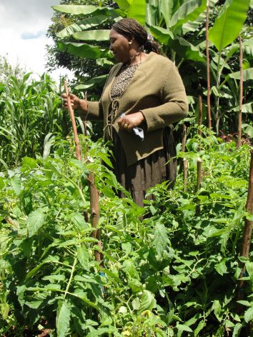 Farmers like Peris Wanjiku continue to battle climate-related risks at a more frequent and intense rate. Credit: Joyce Chimbi/IPS