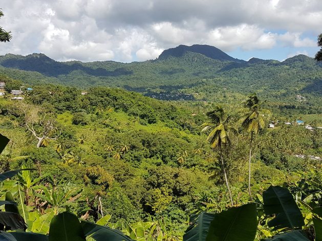 Mountains and vegetation of the Mabouya Valley, Saint Lucia. The Convention on Biological Diversity is reminding the world that ‘solutions are in nature’ and biodiversity provides the answer to several sustainable development challenges. Credit: Alison Kentish/IPS