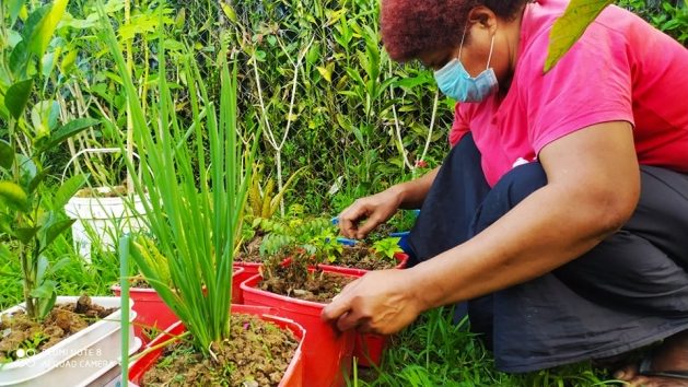 A smartphone app in Fiji is helping users eat better and grow food that will contribute to a more nutritious diet, to help address the growing prevalence of non-communicable diseases in Fiji and the South Pacific