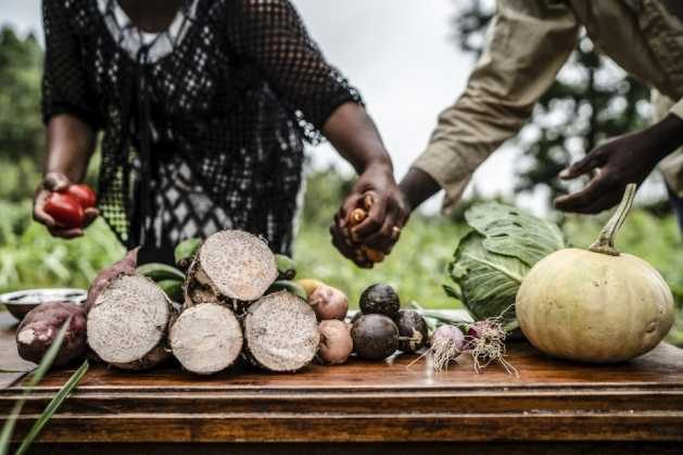 To reduce hunger, food systems must be transformed to prevent 17 percent of total food production from being lost, as is currently the case. Credit: FAO