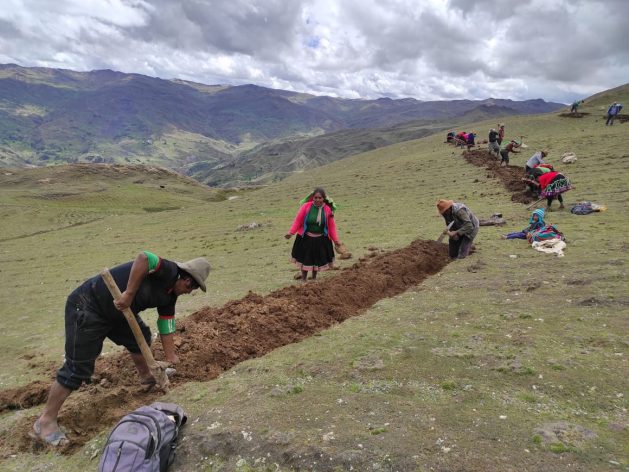 Women and men from the rural community of Sachac, at more than 3500 meters above sea level, build a kilometer-long infiltration ditch to capture rainwater and use it to irrigate crops in Cuzco, in Peru’s Andes highlands. CREDIT: Janet Nina/IPS
