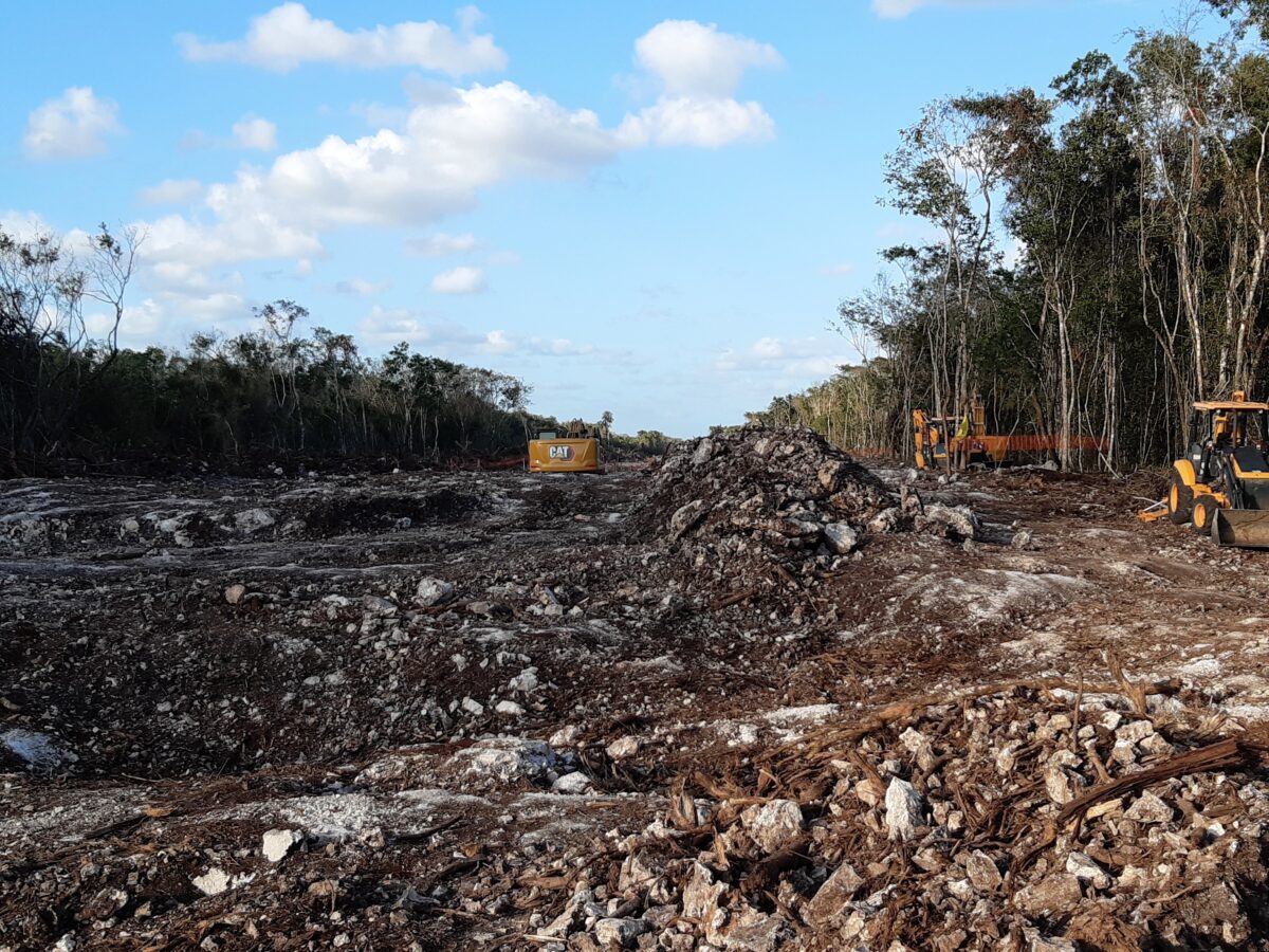In the Mexican municipality of Solidaridad, whose municipal seat is Playa del Carmen, on the Yucatán peninsula, the construction of one of the seven sections of the Mayan Train has deforested at least 10 kilometers of jungle. CREDIT: Emilio Godoy/IPS