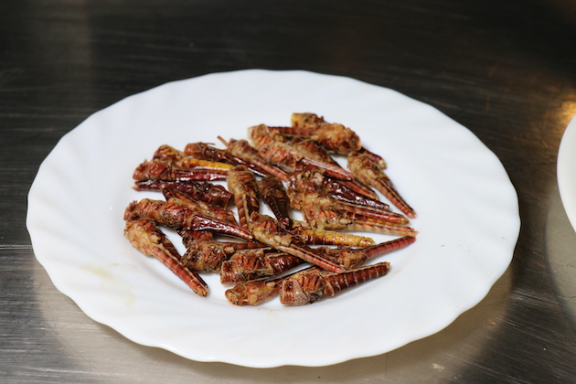 This is pan-dried nsenene.  Edible insects provide a low-cost alternative to protein, the researchers say.  Credit: icipe