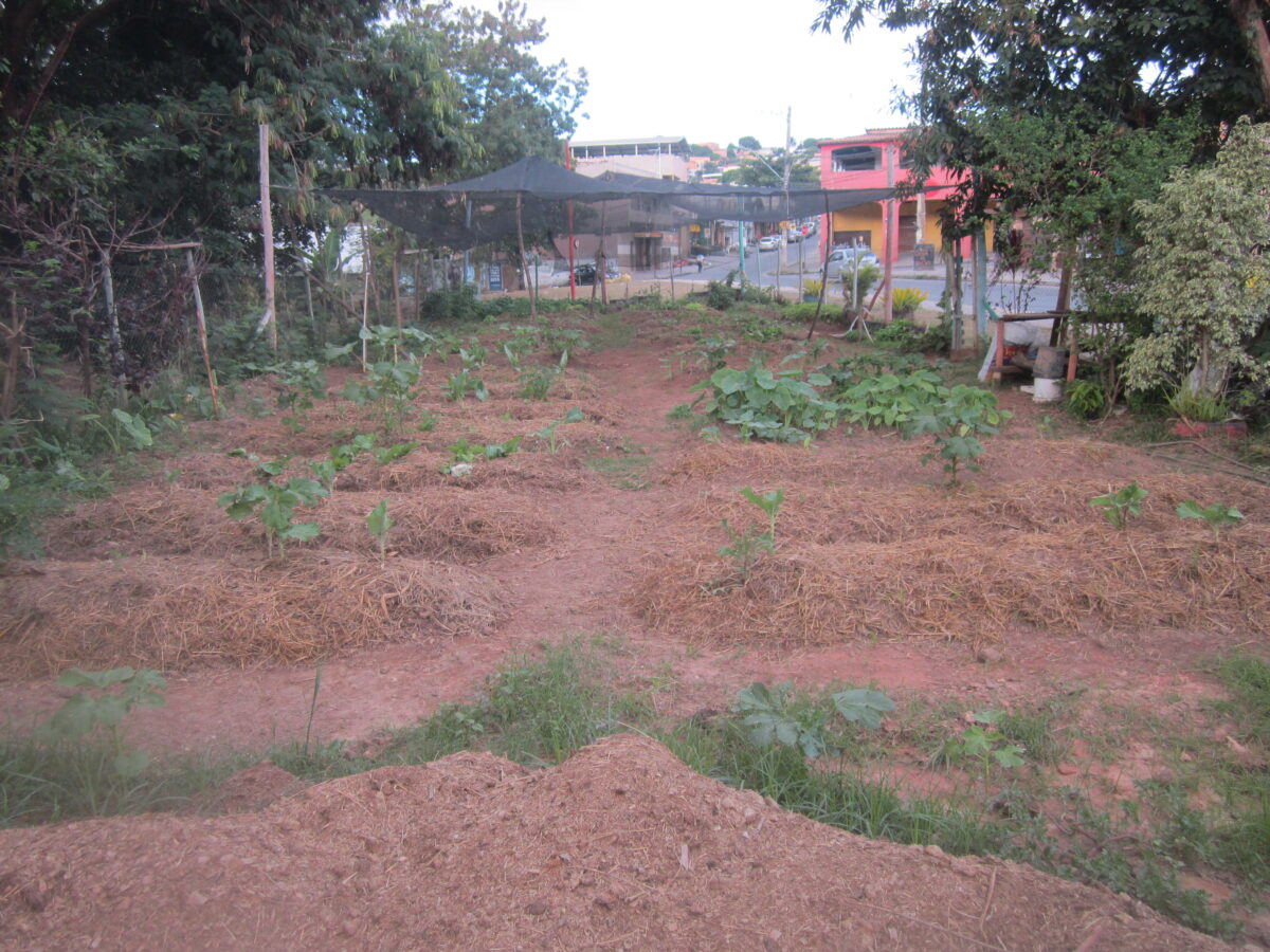 View of a community garden that local residents in the Ribeiro de Abreu neighborhood cultivate on the banks of the Onça River. Some 140 families who suffered annual flooding were resettled and now live in safe housing in the same part of Belo Horizonte, a metropolis in southeastern Brazil. CREDIT: Mario Osava/IPS