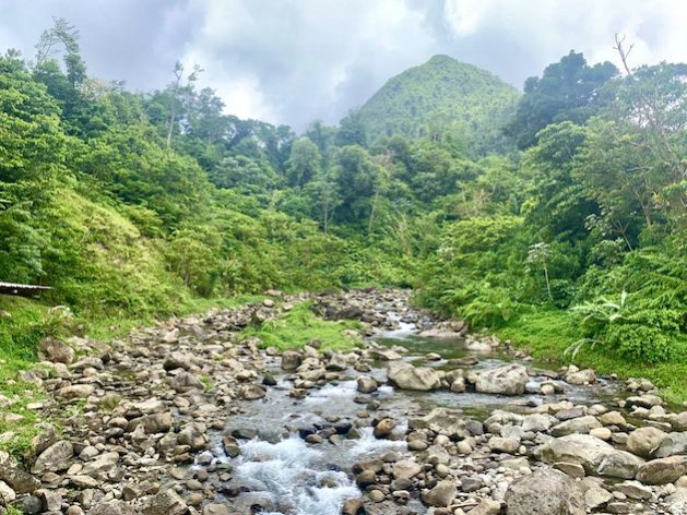 River and mountain in the interior of Dominica. IPBES' collaboration with the private sector funds research and evidence that helps businesses make better-informed decisions to protect biodiversity. Credit: JAK/IPS