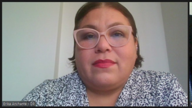 A screenshot of the Women’s Rights commissioner in Peru’s Ombudsman's Office, Erika Anchante, taken during her interview via videoconference. The institution has proposed eliminating gender stereotypes in the handling of cases of missing women, one of the causes that delay investigations. CREDIT: Mariela Jara/IPS
