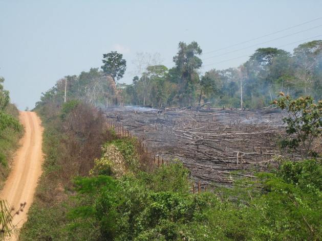 deforestationbrazil - The Richest 1% Pollutes More than the Poorest 50%