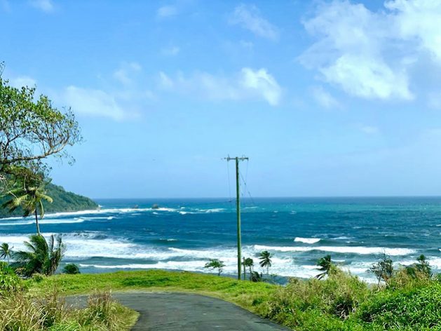Coastal view from the Kalinago Territory in Dominica. Credit: Alison Kentish/IPS