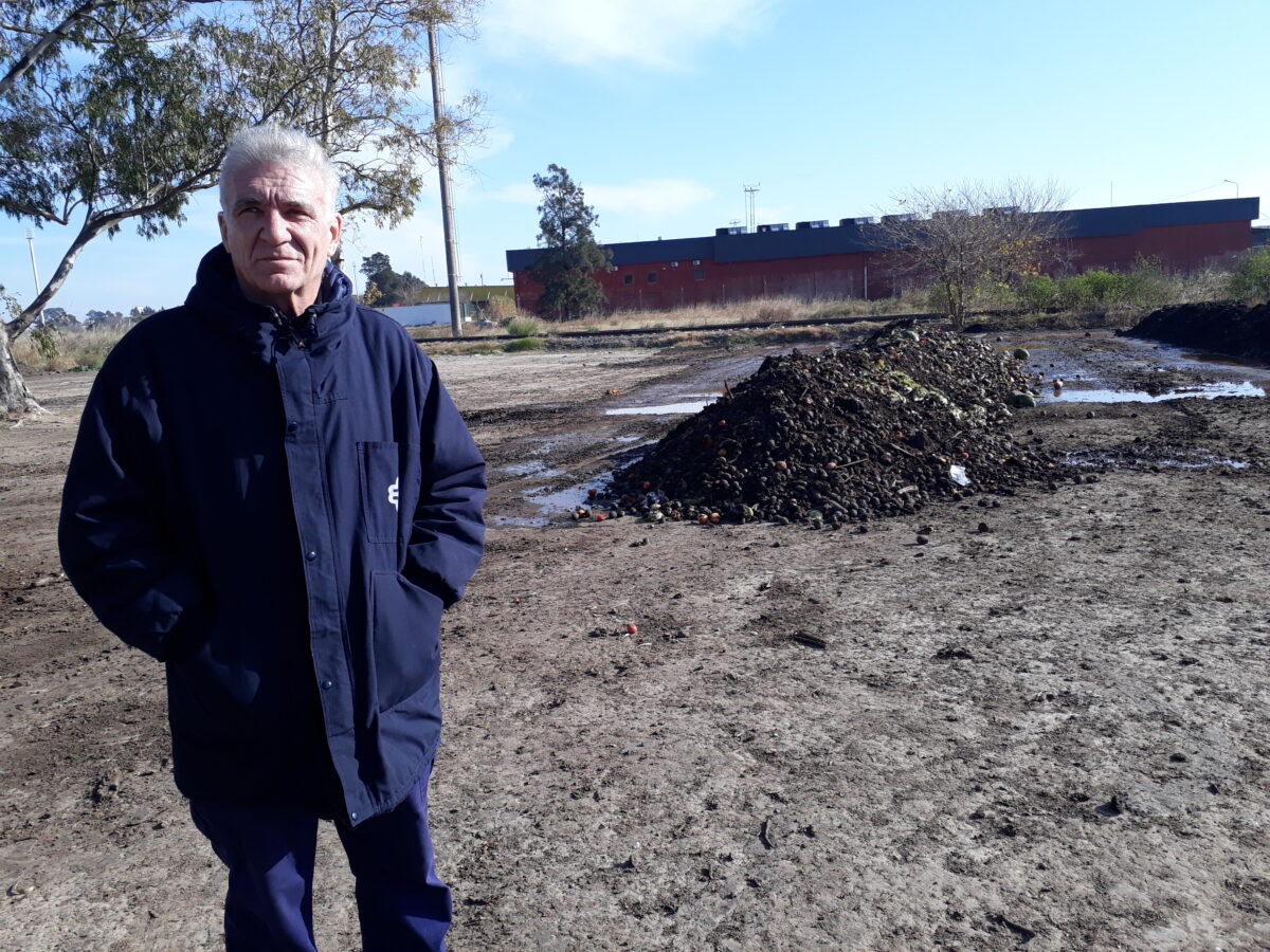Buenos Aires Merkez Pazarı Atık Azaltma ve Geri Kazanım Programının başkanı Fabián Rainoldi, agroekolojik işletmeler için gübre görevi gören kompost üretmek için kullanılan organik atık dağlarından birinin önünde duruyor.  KREDİ: Daniel Gutman/IPS