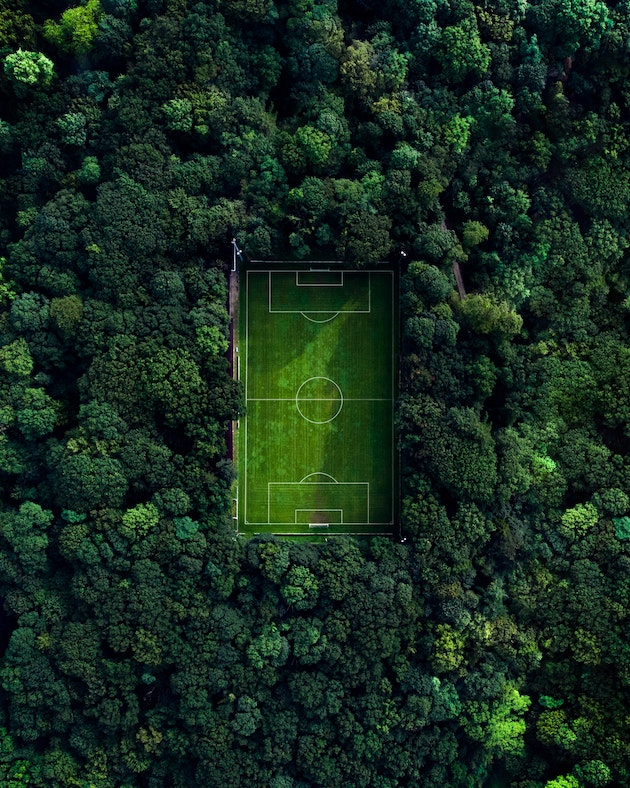 Audiences need to understand the implications of complex concepts involved in measuring SDGs. By making these accessible, like with a football field deforestation analogy, they will resonate with audiences. Credit: Unsplash