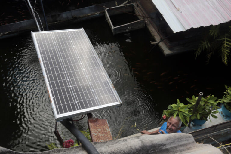 L'énergie solaire est également utilisée par Félix Morffi pour l'aquaculture chez lui dans une commune de La Havane : un panneau photovoltaïque alimente une pompe hydraulique solaire qui maintient le débit d'eau dans l'étang pour l'élevage de variétés de poissons d'ornement et de tilapia pour la consommation familiale.  CRÉDIT : Jorge Luis Baños/IPS