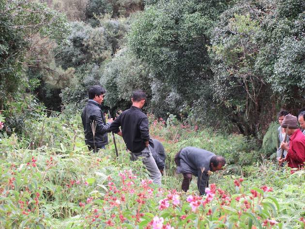 Hard Hit  By Climate Change, Villagers Raise a Forest on Their Own